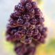 Illustration for article titled 21 Stupendous Photos of Spring